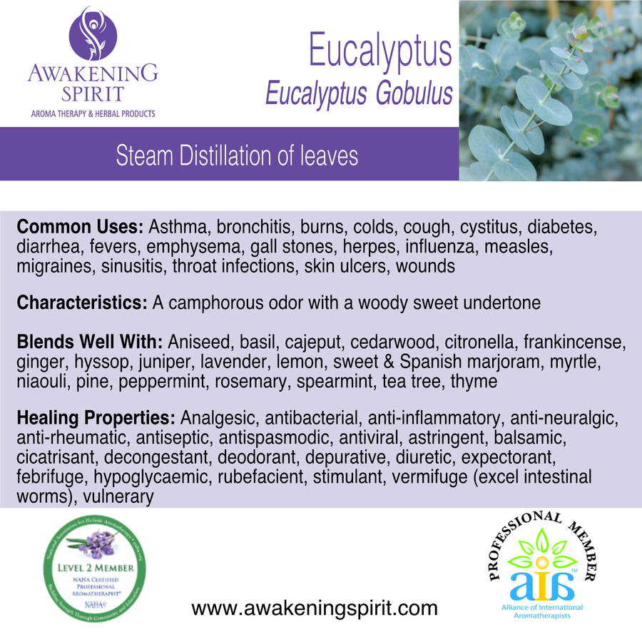 Eucalyptus ~ Essential Oil