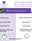Neroli ~ Essential Oil