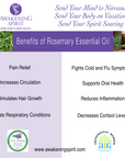 Rosemary ~ Essential Oil