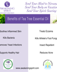 Tea Tree ~ Essential Oil