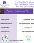 Vanilla ~ Essential Oil