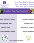 Ylang Ylang ~ Essential Oil