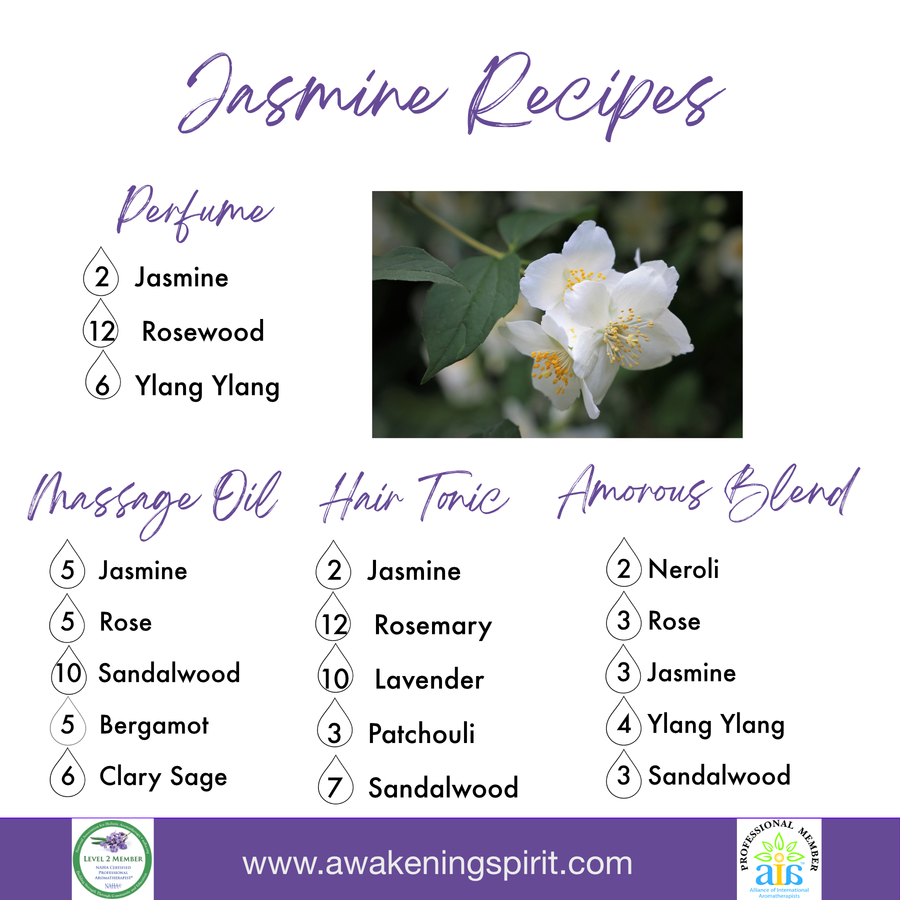 Jasmine ~ Essential Oil
