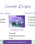 Lavender ~ Essential Oil