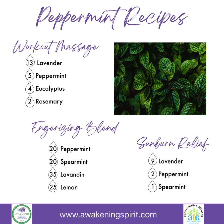 Peppermint ~ Essential Oil