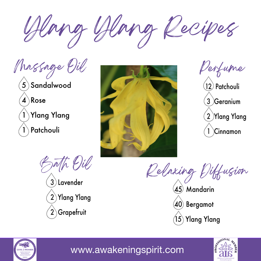 Ylang Ylang ~ Essential Oil