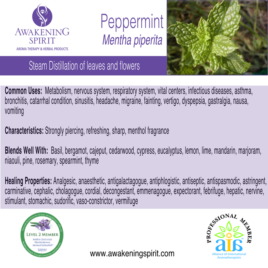 Peppermint ~ Essential Oil