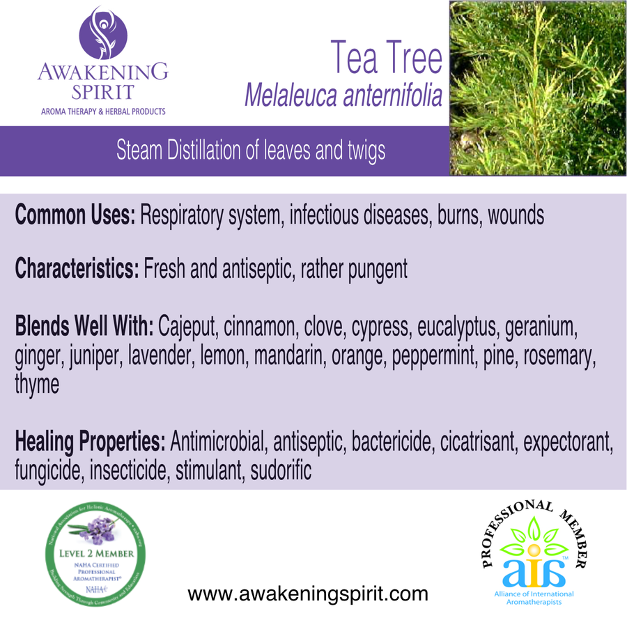 Tea Tree ~ Essential Oil