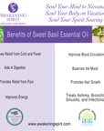 Basil (Sweet) ~ Essential Oil