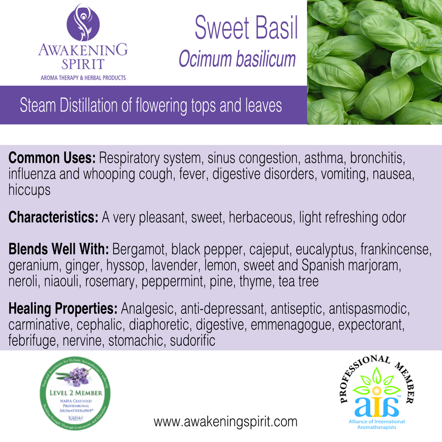 Basil (Sweet) ~ Essential Oil