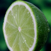 Lime ~ Essential Oil