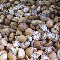 Nutmeg ~ Essential Oil