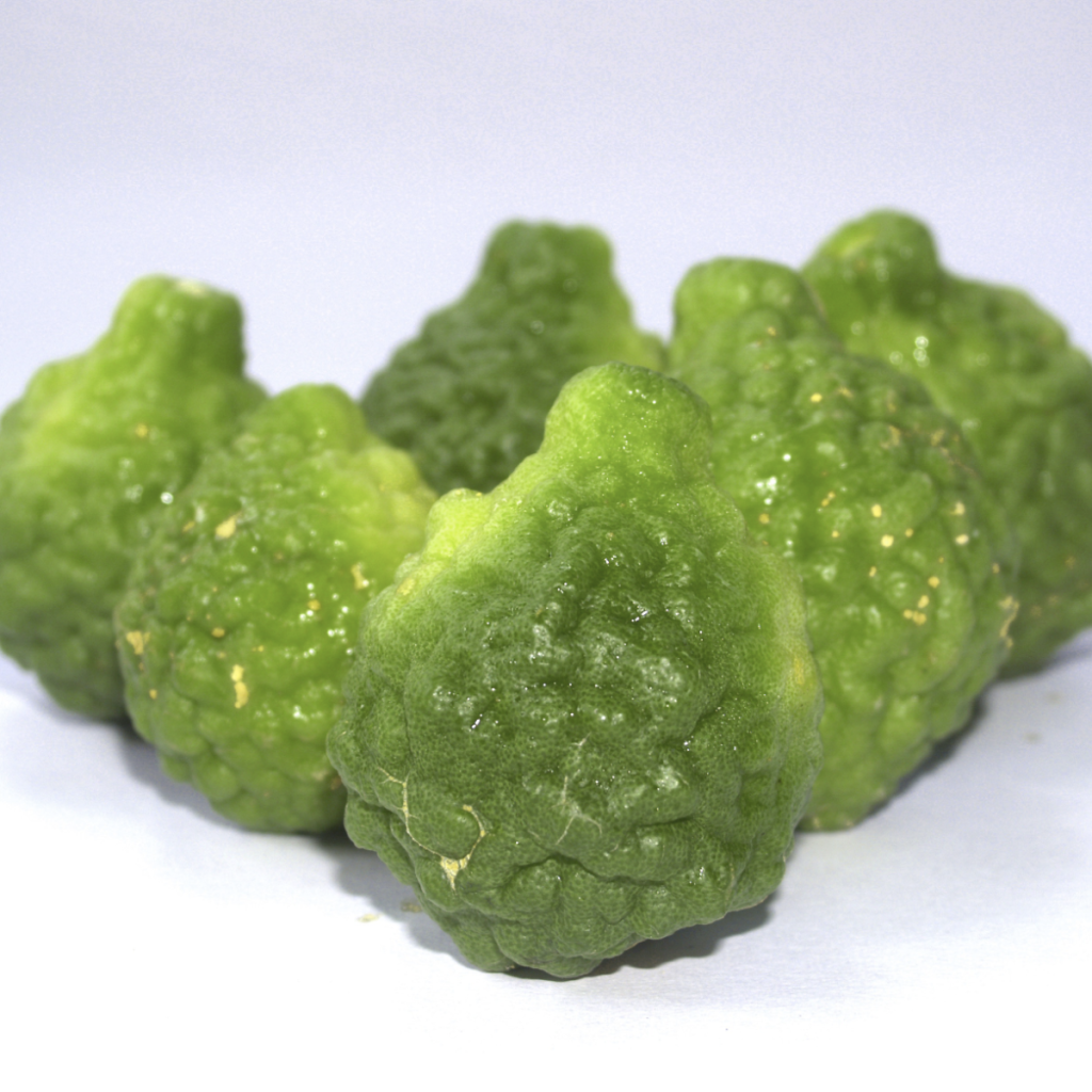 Bergamot ~ Essential Oil