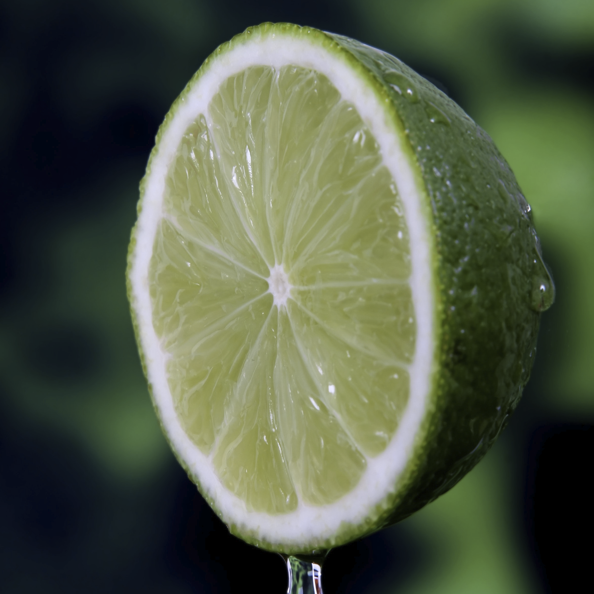 Lime ~ Essential Oil