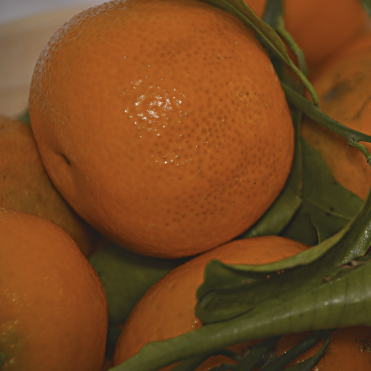 Mandarin (Red) ~ Essential Oil