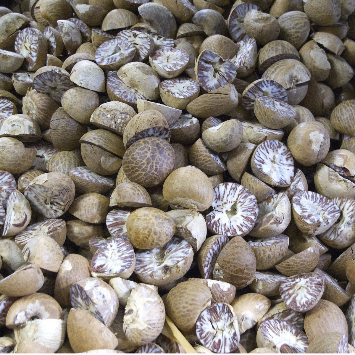 Nutmeg ~ Essential Oil