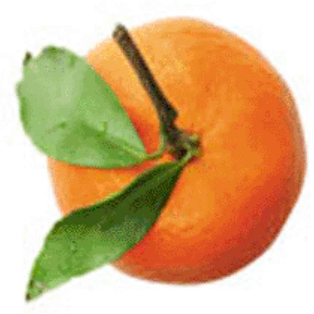 Tangerine ~ Essential Oil