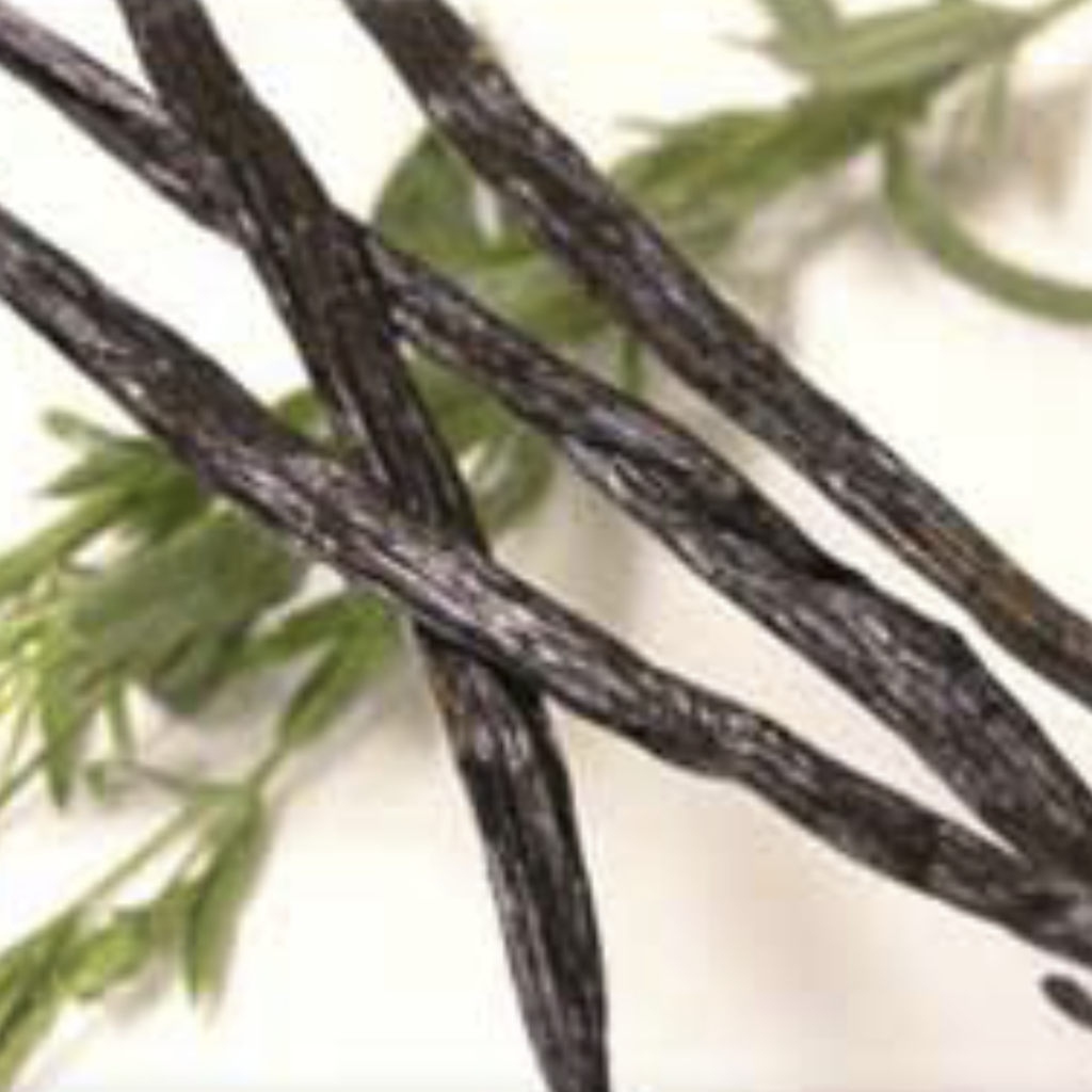Vanilla ~ Essential Oil